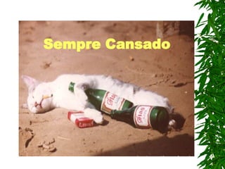 Sempre Cansado