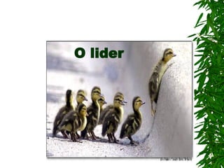 O lider