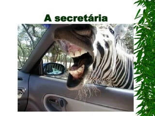 A secretária