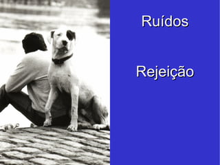 Rejeição Ruídos 