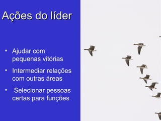 Ações do líder Ajudar com pequenas vitórias Intermediar relações com outras áreas Selecionar pessoas certas para funções 