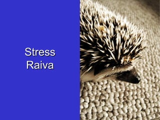 Stress Raiva 