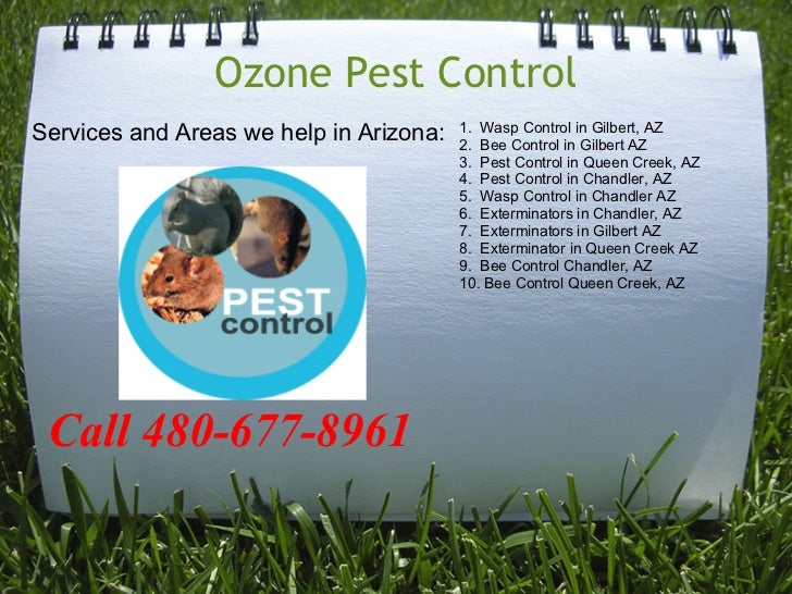 Pest Control Queen Creek Az Pest Control