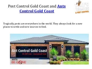 Pest Control Gold Coast and Ants
Control Gold Coast
Tragically, pests are everywhere in the world. They always look for a new
places to settle and new sources to feed.
 