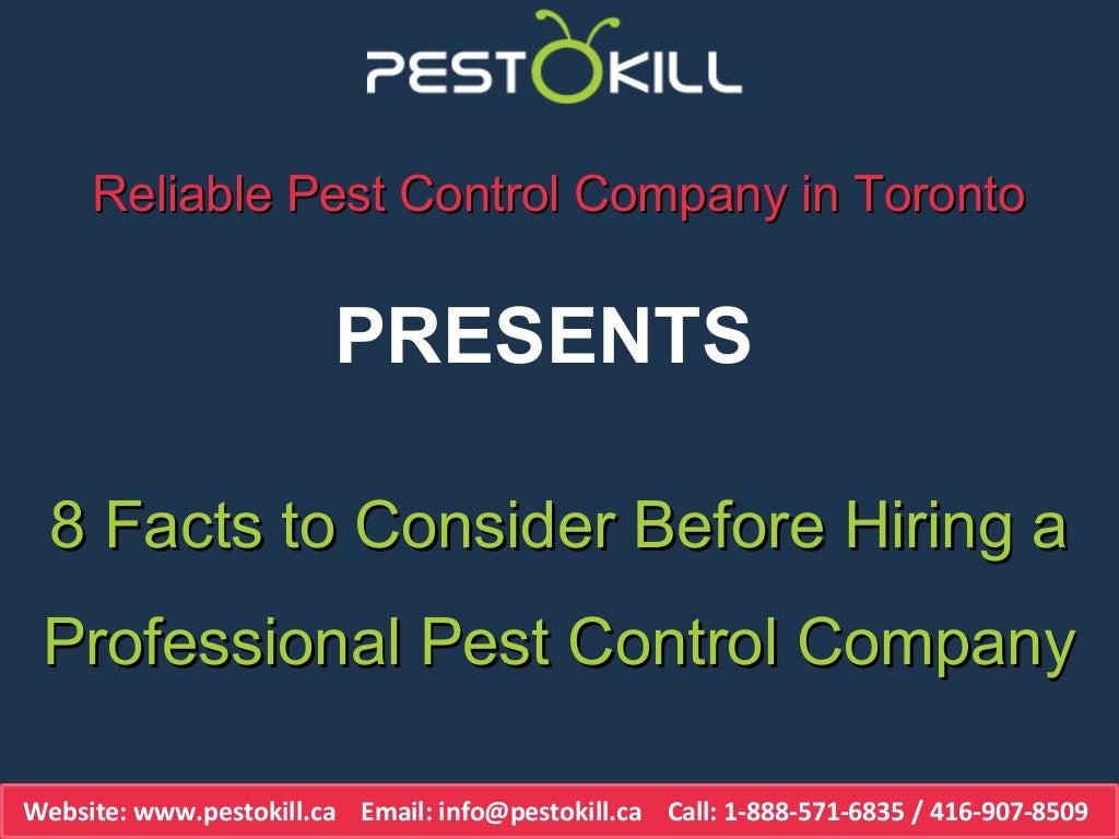 Toronto Pest Control Company How to Choose The Best