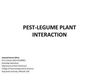 PEST-LEGUME PLANT
INTERACTION
Jawwad Hassan Mirza
Ph.D. Scholar (ID# 435108485)
Acarology Laboratory
Department of Plant Protection
College of Food and Agriculture Sciences
King Saud University, AlRiyadh, KSA
 