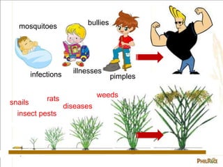 mosquitoes
infections
bullies
illnesses
pimples
insect pests
diseases
weeds
rats
snails
 