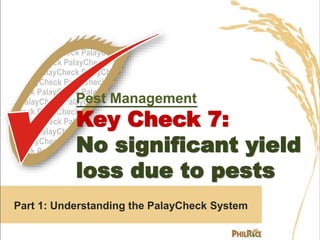 Pest Management
Key Check 7:
No significant yield
loss due to pests
Part 1: Understanding the PalayCheck System
 