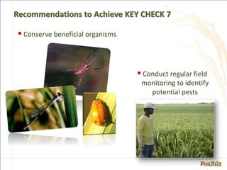 pest-management.ppsx