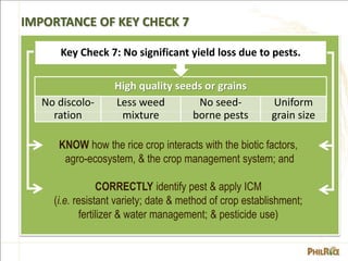 IMPORTANCE OF KEY CHECK 7
KNOW how the rice crop interacts with the biotic factors,
agro-ecosystem, & the crop management ...