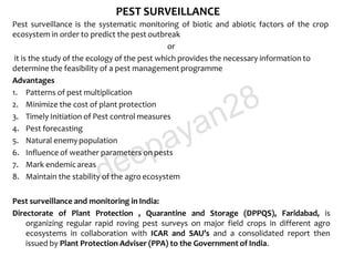 PEST SURVEILLANCE
Pest surveillance is the systematic monitoring of biotic and abiotic factors of the crop
ecosystem in order to predict the pest outbreak
or
it is the study of the ecology of the pest which provides the necessary information to
determine the feasibility of a pest management programme
Advantages
1. Patterns of pest multiplication
2. Minimize the cost of plant protection
3. Timely Initiation of Pest control measures
4. Pest forecasting
5. Natural enemy population
6. Influence of weather parameters on pests
7. Mark endemicareas
8. Maintain the stability of the agro ecosystem
Pest surveillance and monitoring in India:
Directorate of Plant Protection , Quarantine and Storage (DPPQS), Faridabad, is
organizing regular rapid roving pest surveys on major field crops in different agro
ecosystems in collaboration with ICAR and SAU’s and a consolidated report then
issued by Plant Protection Adviser (PPA) to the Government of India.
deepayan28
 