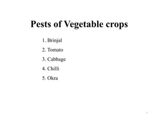 Pests of Vegetable crops
1. Brinjal
2. Tomato
3. Cabbage
4. Chilli
5. Okra
1
 