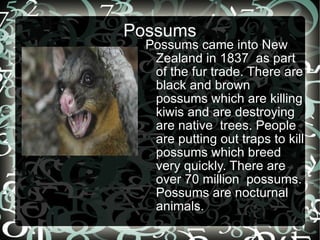 Possums ,[object Object]