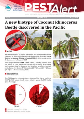 Plant Protection - Pacific Community Land Resources Division (SPC-LRD)
No. 52 ISSN 1727-8473 August 2017
A new biotype of Coconut Rhinoceros
Beetle discovered in the Pacific
ALERT:
An imminent threat to Pacific livelihoods and economies reliant on
coconuts; oil palm and other palm species, has been identified. A new
biotype of Coconut rhinoceros beetle (CRB), Oryctes rhinoceros was
first discovered in Guam in 2007.
This biotype known as CRB Guam (CRB-G) is highly invasive with
the ability to cause significant damage and to rapidly adapt to its
environment. Since its discovery, new invasions have been recorded
onthePapuaNewGuinea(PNG)mainland(2009),Hawaii(2014),Palau
(2014)and Solomon Islands (2015).
BACKGROUND:
The CRB Guam is resistant to known isolates of the Oryctes nudivirus
(OrNV) which had previously proven effective against the CRB-Pacific
(CRB-P) biotype.
Evidence of moderate to no damage
Evidence of catastrophic levels of damage
CRB-P CRB-G
 