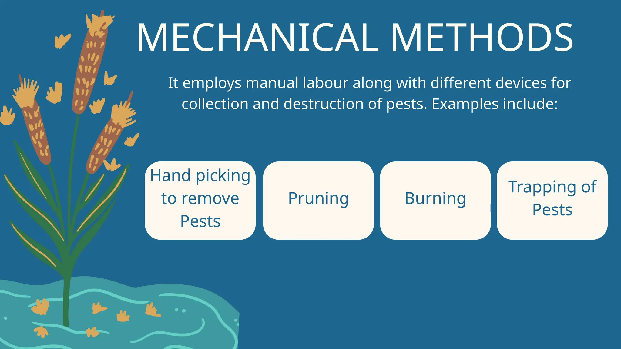 PESTS AND PEST CONTROL (MANAGEMENT)METHODS.pptx