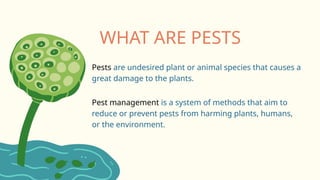Methods Biology Example PESTS AND PEST CONTROL (MANAGEMENT)METHODS.pptx