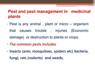 Pest and pest management in medicinal
plants
• Pest is any animal , plant or micro – organism
that causes trouble , injuries (Economic
damage) or destruction to plants or crops.
• The common pests includes
• Insects (ants, mosquitoes, spiders etc) bacteria,
fungi, rats (rodents) and weeds,
 
