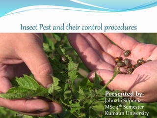 Insect Pest and their control procedures
Presented by-
Jahnabi Silponia
MSc 4th Semester
Kumaun University
 
