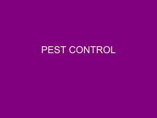 PEST CONTROL
 