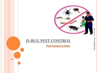 D-BUG PEST CONTROL
Pest Control In Delhi
Calluson:-91+9654843744
 