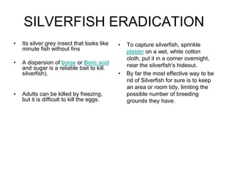 SILVERFISH ERADICATION
• Its silver grey insect that looks like
minute fish without fins
• A dispersion of borax or Boric acid
and sugar is a reliable bait to kill.
silverfish).
• Adults can be killed by freezing,
but it is difficult to kill the eggs.
• To capture silverfish, sprinkle
plaster on a wet, white cotton
cloth, put it in a corner overnight,
near the silverfish's hideout.
• By far the most effective way to be
rid of Silverfish for sure is to keep
an area or room tidy, limiting the
possible number of breeding
grounds they have.
 