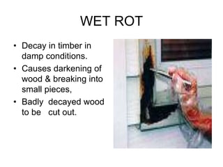 WET ROT
• Decay in timber in
damp conditions.
• Causes darkening of
wood & breaking into
small pieces,
• Badly decayed wood
to be cut out.
 