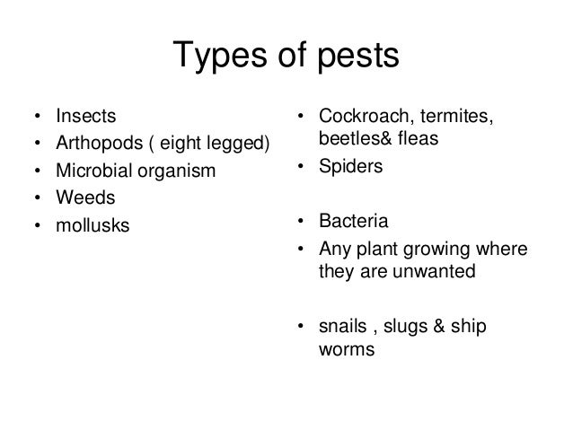Pest Control