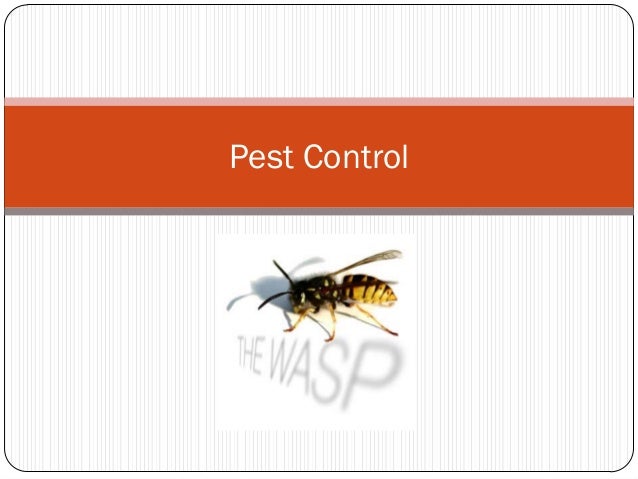 Pestcontrol http://nearlexingtonky.com