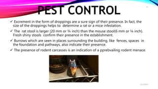 PEST CONTROL
 Excrement in the form of droppings are a sure sign of their presence. In fact, the
size of the droppings helps to determine a rat or a mice infestation.
 The rat stool is larger (20 mm or ¾ inch) than the mouse stool(6 mm or ¼ inch).
Fresh shiny stools confirm their presence in the establishment.
 Burrows which are seen in places surrounding the building, like fences, spaces in
the foundation and pathways, also indicate their presence.
 The presence of rodent carcasses is an indication of a pprebvailing rodent menace.
2/22/2019
12
 