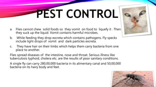 PEST CONTROL
a. Flies cannot chew solid foods so they vomit on food to liquefy it . Then
they suck up the liquid. Vomit contains harmful microbes.
b. While feeding they drop excreta which contains pathogens. Fly specks
include light drops of vomit and dark particles excreta.
c. They have hair on their limbs which helps them carry bacteria from one
place to another.
Flies spread diseases of the intestine, nose and throat. Serious illness like
tuberculosis typhoid, cholera etc. are the results of poor sanitary conditions.
A single fly can carry 280,00,000 bacteria in its alimentary canal and 50,00,000
bacteria on its hairy body and feet.
2/22/2019
4
 