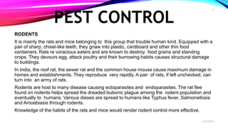 PEST CONTROL
RODENTS
It is mainly the rats and mice belonging to this group that trouble human kind. Equipped with a
pair of sharp, chisel-like teeth, they gnaw into plastic, cardboard and other thin food
containers. Rats re voracious eaters and are known to destroy food grains and standing
crops. They devours egg, attack poultry and their burrowing habits causes structural damage
to buildings.
In India, the roof rat, the sewer rat and the common house mouse cause maximum damage in
homes and establishments. They reproduce very rapidly. A pair of rats, if left unchecked, can
turn into an army of rats.
Rodents are host to many disease causing ectoparasites and endoparasites. The rat flee
found on rodents helps spread the dreaded bubonic plague among the rodent population and
eventually to humans. Various dieses are spread to humans like Typhus fever, Salmonellosis
and Amoebiasis through rodents.
Knowledge of the habits of the rats and mice would render rodent control more effective.
2/22/2019
9
 
