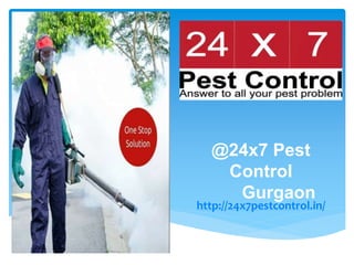 @24x7 Pest
Control
Gurgaon
http://24x7pestcontrol.in/
 