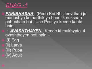  PARIBHASHA : (Pest) Koi Bhi Jeevdhari jo
manushya ko aarthik ya bhautik nuksaan
pahuchata hai . Use Pest ya keede kahte
hain.
 : AVASHTHAYEN : Keede ki mukhyata 4
avashthayen hoti hain –
 (i) Egg
 (ii) Larva
 (iii) Pupa
 (iv) Adult

 