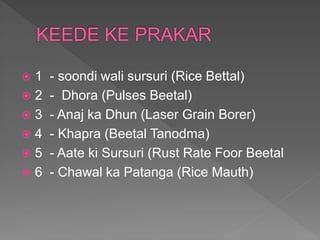  1 - soondi wali sursuri (Rice Bettal)
 2 - Dhora (Pulses Beetal)
 3 - Anaj ka Dhun (Laser Grain Borer)
 4 - Khapra (Beetal Tanodma)
 5 - Aate ki Sursuri (Rust Rate Foor Beetal
 6 - Chawal ka Patanga (Rice Mauth)
 