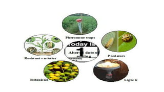 BIOLOGICAL PEST CONTROL METHOD IN ORGANIC FARMING.pptx