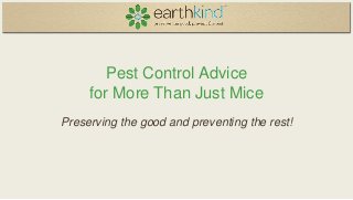 Pest Control Advice
for More Than Just Mice
Preserving the good and preventing the rest!

 