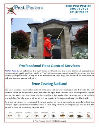 At Pest Pesters, we understand that every home is different, and that a 'one­size­fits­all' approach may
not address the specific problems you have. That's why we are committed to provide you with a solution
to meet your specific needs, using the most state­of­the­art technology. We believe in Eco consciousness
and treat the environment with care
Our fence cleaning service utilize different techniques such as water blasting or soft chemicals. The soft
chemical treatment has proven to work over and over again. Our Auckland fence cleaning service aims to
remove the mould and moss from the fence within a few weeks after the treatment is successfully
accomplished. We take pride in all our services we provide including fence cleaning Auckland wide.
From our experience, we recommend the water blasting service as the results are immediate. It always
seems to surprise people how clean their fence is left looking after our cleaning services. We are proud to
provide the best fence cleaning Auckland wide.
© Pest Pesters. 2015 All Rights Reserved
 