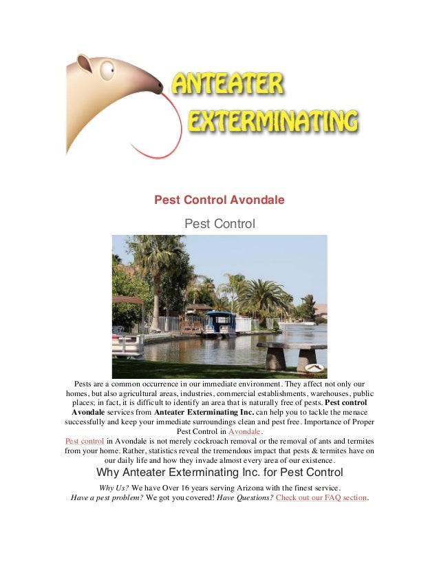 anteater pest control pest control avondale pests are common occurrence in our immediate environment control avondale anteater pest control pest control avondale pests are common occurrence in our immediate environment control avondale
