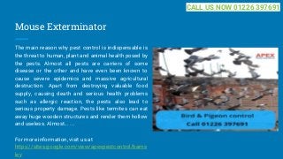 Mouse Exterminator
The main reason why pest control is indispensable is
the threat to human, plant and animal health posed by
the pests. Almost all pests are carriers of some
disease or the other and have even been known to
cause severe epidemics and massive agricultural
destruction. Apart from destroying valuable food
supply, causing death and serious health problems
such as allergic reaction, the pests also lead to
serious property damage. Pests like termites can eat
away huge wooden structures and render them hollow
and useless. Almost... ...
For more information, visit us at
https://sites.google.com/view/apexpestcontrol/barns
ley
CALL US NOW 01226 397691
 