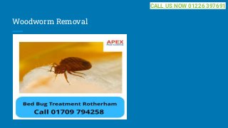 Woodworm Removal
CALL US NOW 01226 397691
 