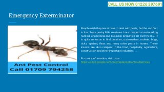 Emergency Exterminator
People wish they never have to deal with pests, but the sad fact
is that these pesky little creatures have invaded an astounding
number of personal and business properties all over the U.S. It
is quite common to find termites, cockroaches, rodents, bugs,
ticks, spiders, fleas and many other pests in homes. These
insects are also rampant in the food, hospitality, agriculture,
construction and other important industries. ...
For more information, visit us at
https://sites.google.com/view/apexpestcontrol/barnsley
CALL US NOW 01226 397691
 