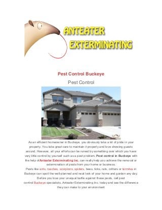 Pest Control Buckeye
Pest Control
As an efficient homeowner in Buckeye, you obviously take a lot of pride in your
property. You take great care to maintain it properly and love showing guests
around. However, all your efforts can be ruined by something over which you have
very little control by yourself such as a pest problem. Pest control in Buckeye with
the help ofAnteater Exterminating Inc. can really help you achieve the removal or
extermination of pests from your home or business.
Pests like ants, roaches, scorpions, spiders, bees, ticks, rats, critters or termites in
Buckeye can spoil the well-planned and neat look of your home and garden any day.
Before you lose your unequal battle against these pests, call pest
control Buckeye specialists, Anteater Exterminating Inc. today and see the difference
they can make to your environment
 