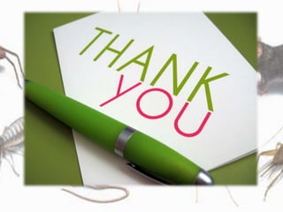 Pest control concept