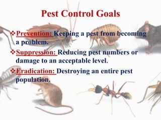 Pest Control Goals
Prevention: Keeping a pest from becoming
a problem.
Suppression: Reducing pest numbers or
damage to an acceptable level.
Eradication: Destroying an entire pest
population.
 