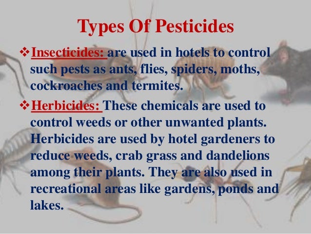 Pest Control Concept