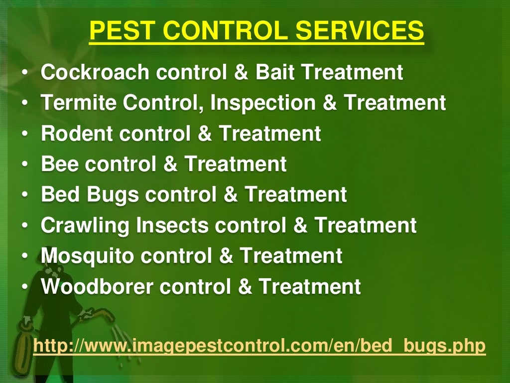 Pest control consulting and exterminator in Bangalore