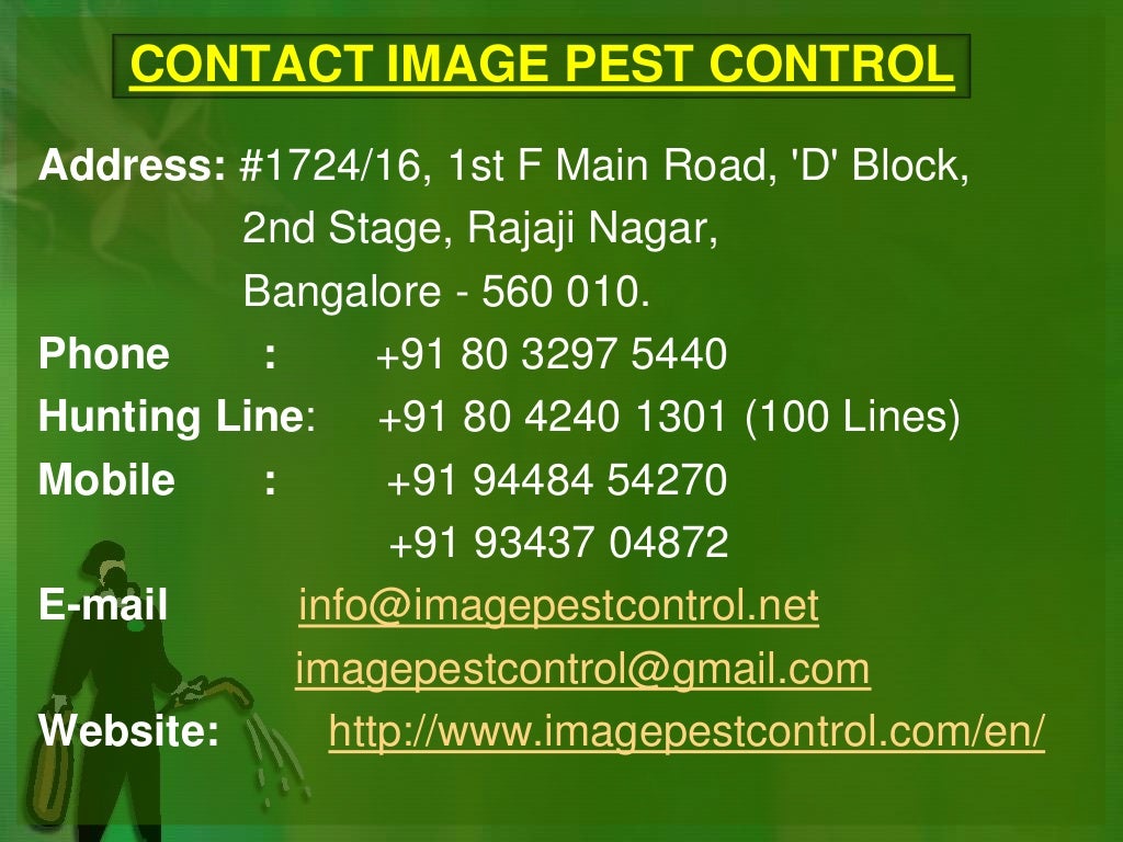 Pest control consulting and exterminator in Bangalore