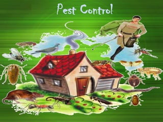 Pest Control
 