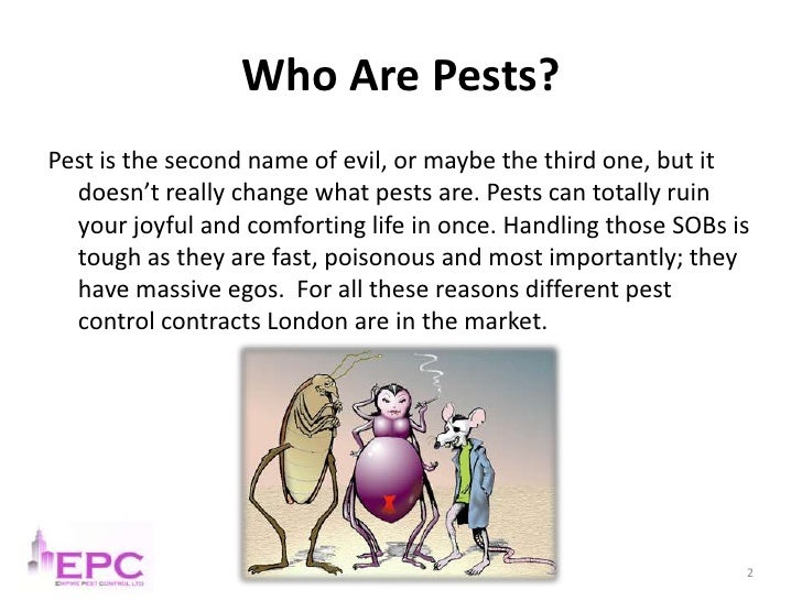 Pest control guide for crazy people