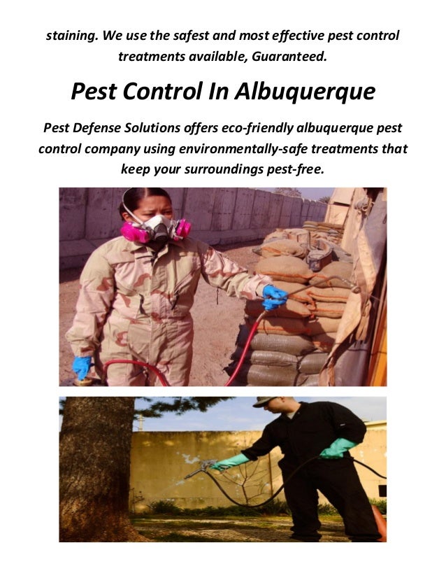 Pest Control In Albuquerque By Pest Defense Solutions